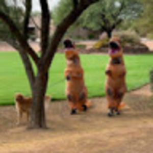 Meet your Posher, Molly